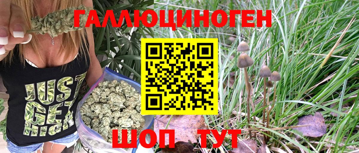 Усть-Джегута  Галлюциногенные грибы MAGIC MUSHROOMS  как найти закладки  Вход с VPN 