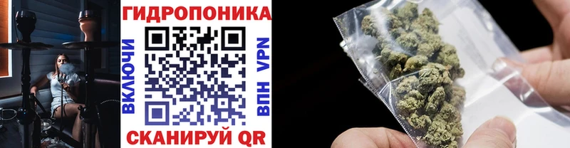 Шишки марихуана индика  kraken ССЫЛКА  Усть-Джегута  где найти  